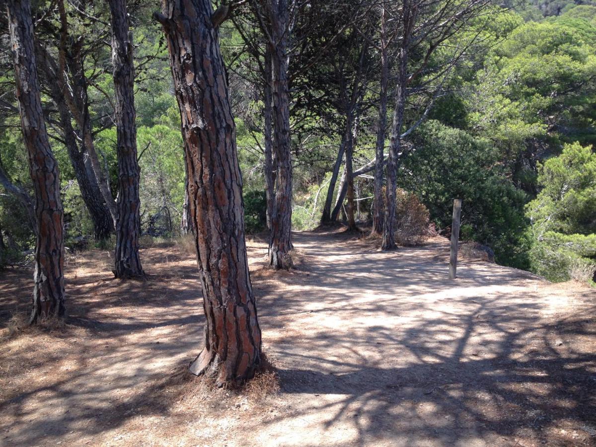 Villa Reymar - Diseno Y Vistas Al Mar トッサ・デ・マール エクステリア 写真